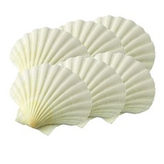 HIC 貝殼烤杯8-8.5cm, 6件, 白色的