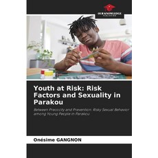 (英文圖書) Youth at Risk: Risk Factors and Sexuality in Parakou 平裝版, Our Knowledge Publishing, 英文