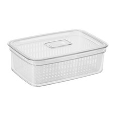 OGGI Store Fresh蔬菜豆類冰箱收納整理盒, 清除