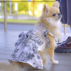 Onekosama 貓狗款寵物空調太陽裙, 1個, 茹伊印花布 黑色