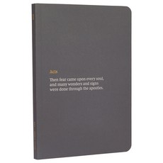 NKJV Scripture Journal - Acts: Holy Bible New King James Version 平裝版, Thomas Nelson, 英文