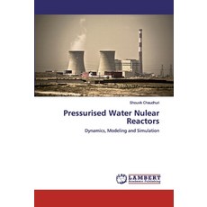 Pressurised Water Nulear Reactors 平裝版, LAP Lambert Academic Publishing, 英文