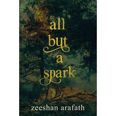 (英文圖書)All but a Spark 平裝版, Createspace Independent Pub..., 英文
