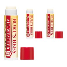 BURT'S BEES 花樣保濕潤唇膏 SPF15, 3個, 原來的