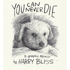 (英文圖書)You Can Never Die: A Graphic Memoir 精裝版, Celadon Books, 英文