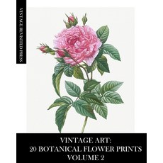 (英文圖書) Vintage Art: 20 Botanical Flower Prints Volume 2: Ephemera for Framing Collage and Decoupage 平裝版, Blurb, 英文