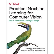 (英文圖書) Practical Machine Learning for Computer Vision: End-To-End Machine Learning for Images 平裝版, O'Reilly Media, 英文