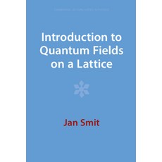 (英文圖書) Introduction to Quantum Fields on a Lattice 精裝版, Cambridge University Press, 英文