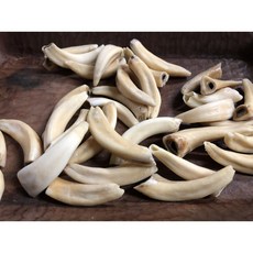 獸牙材料 DIY馬牙材料 原住民頭飾工藝配件, 詳見包裝, 詳見包裝, 詳見包裝