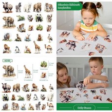 認識動物毛氈DIY套裝：野生動物教學，激發兒童想像力