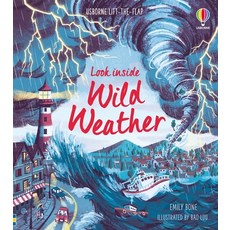 (英文圖書)Look Inside Wild Weather Board Books, Usborne Books, 英文, 硬頁書