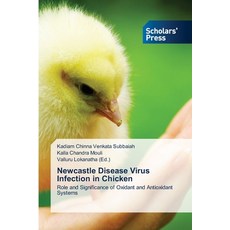 Newcastle Disease Virus Infection in Chicken 平裝版, Scholars' Press, 英語