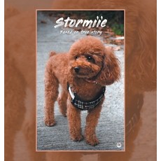 (英文圖書) Stormiie: Based on a True Story 精裝版, Partridge Publishing Singapore, 英文