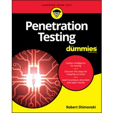 Penetration Testing for Dummies 平裝版, 英文