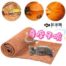 【臥水族】椰棕墊 陸龜 蜥蜴 爬蟲地墊 透氣易清潔 減少異味 烏龜床, Brown, 50*30cm厚度0.5~1cm隨機出貨