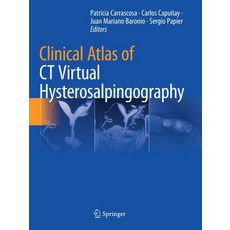 (英文圖書) Clinical Atlas of CT Virtual Hysterosalpingography 平裝版, Springer, 英文