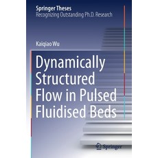 (英文圖書) Dynamically Structured Flow in Pulsed Fluidised Beds 平裝版, Springer, 英文