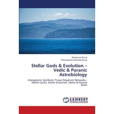 (英文圖書) Stellar Gods & Evolution - Vedic & Puranic Astrobiology 平裝版, LAP Lambert Academic Publis..., 英文