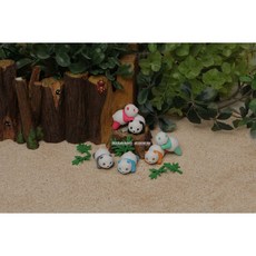 IWAKO 日本製造型橡皮擦 (熊貓寶寶系列), 橘色, 橘色, 1個