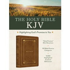 (英文圖書) Holy Bible Kjv: Highlighting God's Promises to You [Gold & Camel] Imitation Leather, Barbour Publishing, 英文, 仿皮