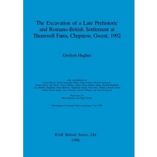 (英文圖書) The Excavation of a Late Prehistoric and Romano-British Settlement at Thornwell Farm Chepsto... 平裝版, British Archaeological Repo..., 英文