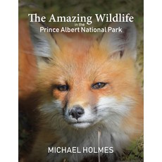(英文圖書) The Amazing Wildlife in the Prince Albert National Park 平裝版, Austin Macauley, 英文