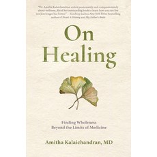 (英文圖書) On Healing: Finding Wholeness Beyond the Limits of Medicine 平裝版, Heliotrope Books LLC, 英文