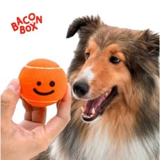 【你和我的狗】韓國正版 Bacon 寵物網球 寵物玩具 - 可愛表情，安全耐用，狗狗玩樂好夥伴, 1套裝, 圖片色