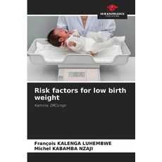 (英文圖書) Risk factors for low birth weight 平裝版, Our Knowledge Publishing, 英文