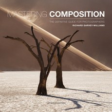 (英文圖書) Mastering Composition: The Definitive Guide for Photographers 平裝版, Ammonite Press, 英文