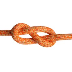 瑞士 CE4Y Rope THICK-LINE 10mm 超耐磨溪降繩 100米 - 專業溪降攀岩繩索, 詳見包裝