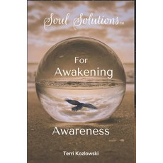 (英文圖書) Soul Solutions for Awakening Awareness 平裝版, Higher Ground Books & Media, 英文