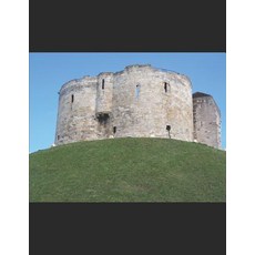 (英文圖書) European Gleanings: Royal and Manorial families pre-1600 to 1066: Over 1200 families in Engla... 平裝版, Independently Published, 英文