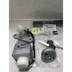 SYM 三陽 原廠 AZA 全組鎖 New Mii 110 鎖頭 磁石 開關 電門【少年家】