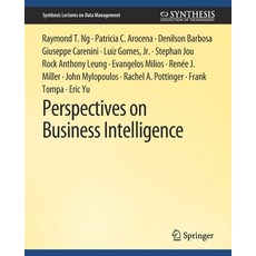 (英文圖書) Perspectives on Business Intelligence 平裝版, Springer, 英文