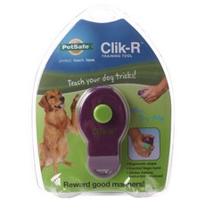 PetSafe Click-R 訓練口哨, 1個, 紫色的