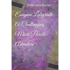 (英文圖書)Enigma Labyrinth: A Challenging Maze Puzzle Adventure 平裝版, Independently Published, 英文
