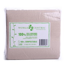WORLD CENTRIC 雙層餐巾紙, 1個, 250張