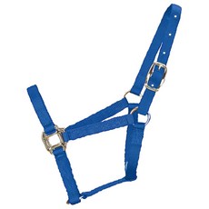 Hamilton Products 掛脖馬優質畜副料漿果藍1.9cm, 1個