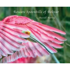 (英文圖書) Roseate Spoonbills of Bolivar 精裝版, Bolivar Light Publishing, 英文