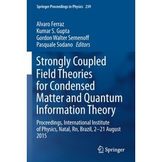 Strongly Coupled Field Theories for Condensed Matter and Quantum Information Theory: Proceedings In... 平裝版, Springer, 英語