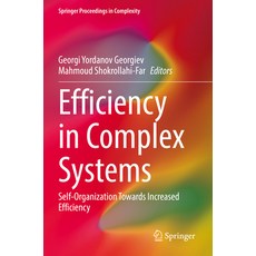 (英文圖書) Efficiency in Complex Systems: Self-Organization Towards Increased Efficiency 平裝版, Springer, 英文