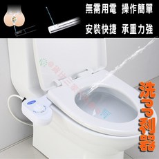 智能馬桶沖洗機, 白色