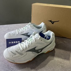 MIZUNO WAVE FANG PRO 標準楦頭羽球鞋 71GA210071