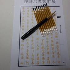 抄經筆套裝1筆10芯(1mm)，經文抄寫專用，書寫流暢，握感舒適，墨水均勻，更換筆芯方便, 詳見包裝