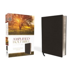 (英文圖書) Amplified Bible-Am: Captures the Full Meaning Behind the Original Greek and Hebrew Bonded Leather, Zondervan, 英文, 再生皮革