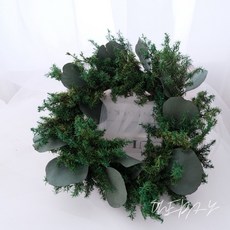 ONE DAY 聖誕花圈 永生花圈 雪松花圈 花環 雪松花環 聖誕花環, 耶誕綠