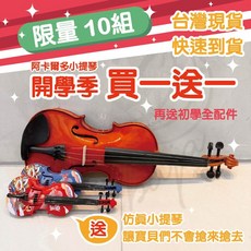 巴哈樂器 全新實木小提琴 全尺寸小提琴 贈11項好禮 台灣保固, 1, single product