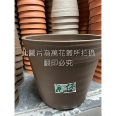 瓦仔 塑膠盆 直徑181.8mm PP材質, 咖啡色
