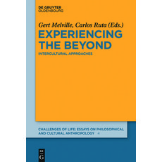 Experiencing the Beyond 精裝版, Walter de Gruyter, 英文